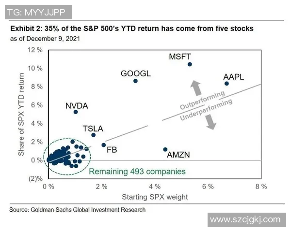 深入分析成都排球队防守策略与战术特点的专业解读