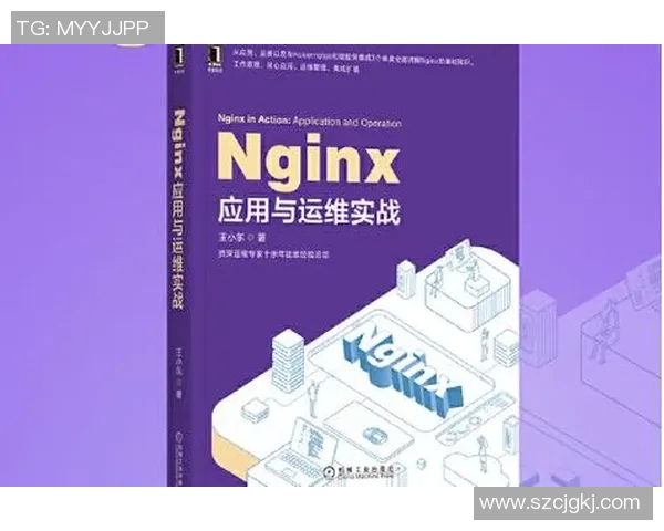 羽毛球战术解析:深入探讨北京羽毛球队的盯防体系与实战应用